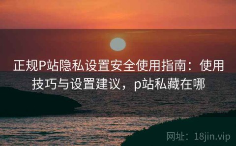 正规P站隐私设置安全使用指南：使用技巧与设置建议，p站私藏在哪