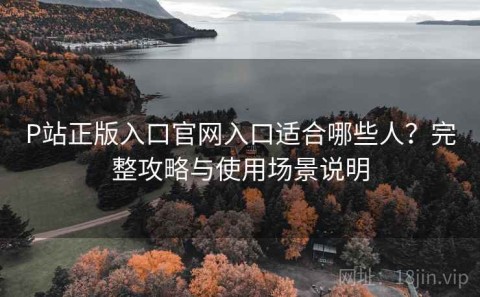 P站正版入口官网入口适合哪些人？完整攻略与使用场景说明