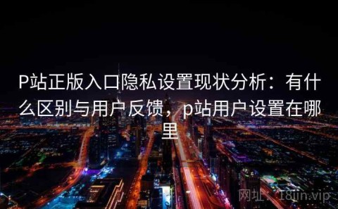 P站正版入口隐私设置现状分析：有什么区别与用户反馈，p站用户设置在哪里