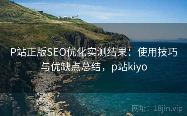 P站正版SEO优化实测结果：使用技巧与优缺点总结，p站kiyo