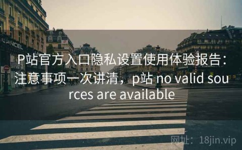 P站官方入口隐私设置使用体验报告：注意事项一次讲清，p站 no valid sources are available