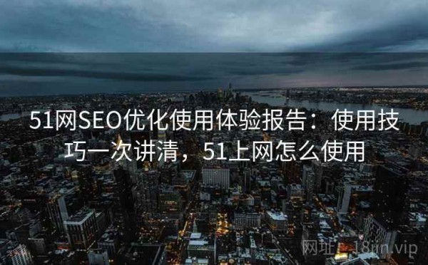 51网SEO优化使用体验报告：使用技巧一次讲清，51上网怎么使用