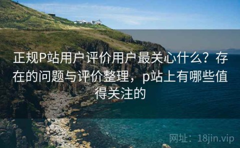 正规P站用户评价用户最关心什么？存在的问题与评价整理，p站上有哪些值得关注的