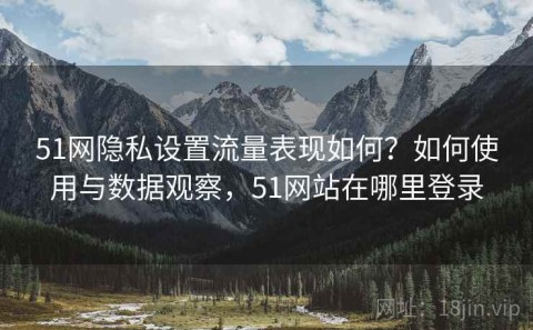 51网隐私设置流量表现如何？如何使用与数据观察，51网站在哪里登录