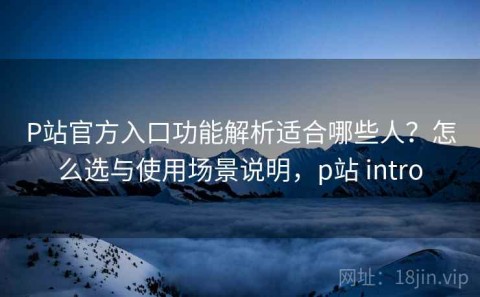 P站官方入口功能解析适合哪些人？怎么选与使用场景说明，p站 intro