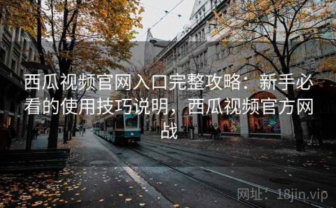 西瓜视频官网入口完整攻略：新手必看的使用技巧说明，西瓜视频官方网战