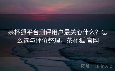 茶杯狐平台测评用户最关心什么？怎么选与评价整理，茶杯狐 官网