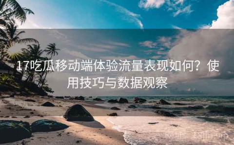17吃瓜移动端体验流量表现如何？使用技巧与数据观察