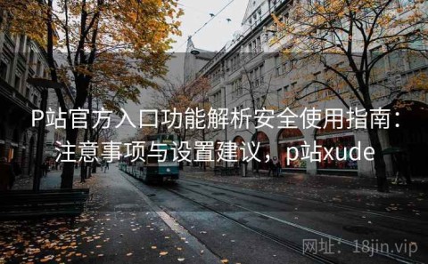P站官方入口功能解析安全使用指南：注意事项与设置建议，p站xude