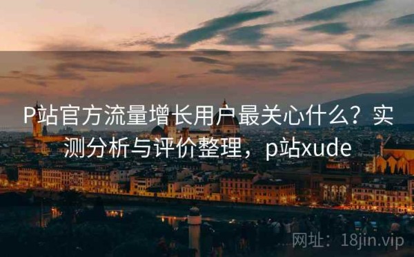 P站官方流量增长用户最关心什么？实测分析与评价整理，p站xude