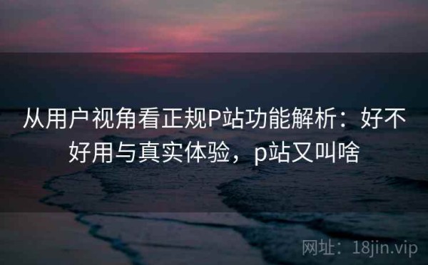 从用户视角看正规P站功能解析：好不好用与真实体验，p站又叫啥