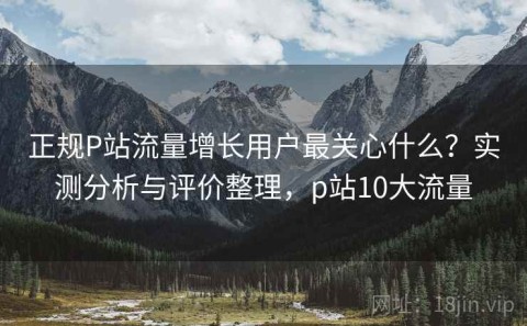 正规P站流量增长用户最关心什么？实测分析与评价整理，p站10大流量