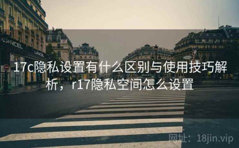17c隐私设置有什么区别与使用技巧解析，r17隐私空间怎么设置