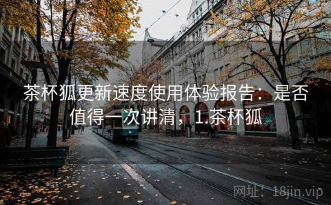 茶杯狐更新速度使用体验报告：是否值得一次讲清，1.茶杯狐