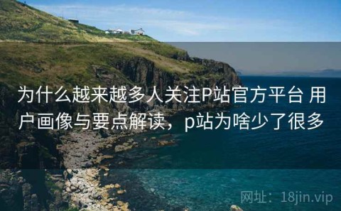 为什么越来越多人关注P站官方平台 用户画像与要点解读，p站为啥少了很多