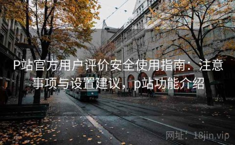 P站官方用户评价安全使用指南：注意事项与设置建议，p站功能介绍