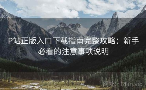 P站正版入口下载指南完整攻略：新手必看的注意事项说明