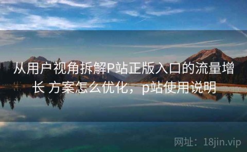 从用户视角拆解P站正版入口的流量增长 方案怎么优化，p站使用说明