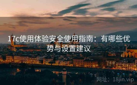 17c使用体验安全使用指南：有哪些优势与设置建议
