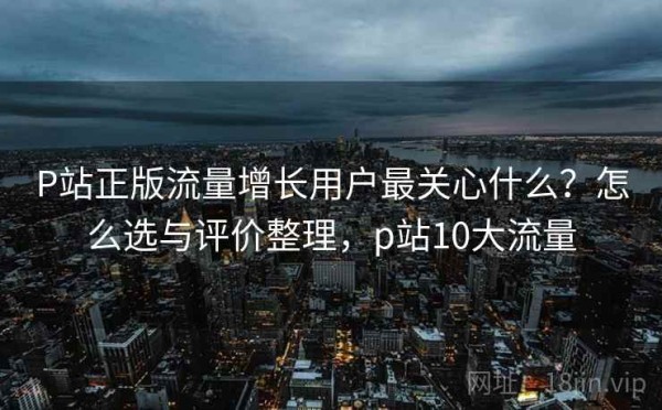 P站正版流量增长用户最关心什么？怎么选与评价整理，p站10大流量