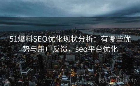51爆料SEO优化现状分析：有哪些优势与用户反馈，seo平台优化