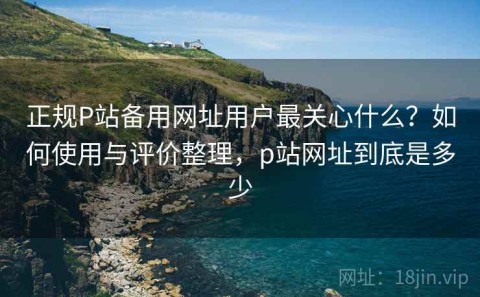 正规P站备用网址用户最关心什么？如何使用与评价整理，p站网址到底是多少