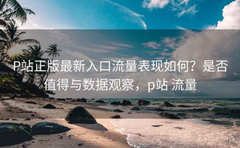 P站正版最新入口流量表现如何？是否值得与数据观察，p站 流量