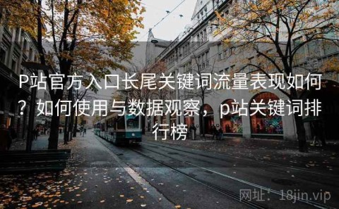 P站官方入口长尾关键词流量表现如何？如何使用与数据观察，p站关键词排行榜