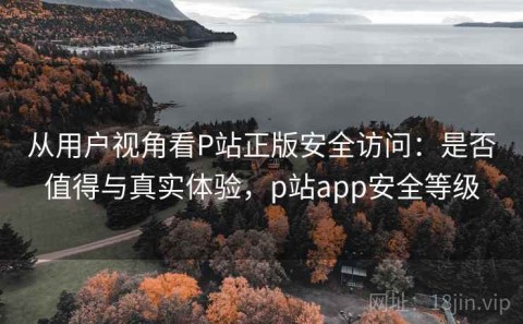 从用户视角看P站正版安全访问：是否值得与真实体验，p站app安全等级