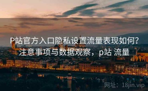 P站官方入口隐私设置流量表现如何？注意事项与数据观察，p站 流量