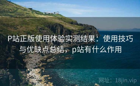 P站正版使用体验实测结果：使用技巧与优缺点总结，p站有什么作用