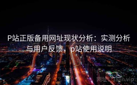 P站正版备用网址现状分析：实测分析与用户反馈，p站使用说明