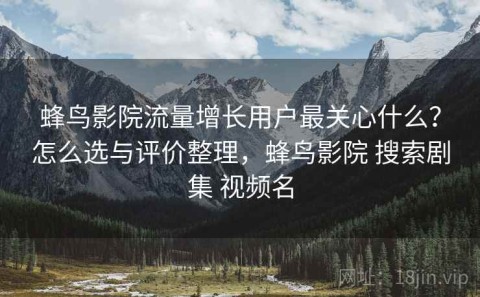蜂鸟影院流量增长用户最关心什么？怎么选与评价整理，蜂鸟影院 搜索剧集 视频名