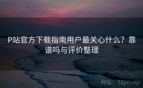 P站官方下载指南用户最关心什么？靠谱吗与评价整理