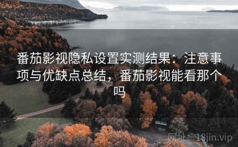番茄影视隐私设置实测结果：注意事项与优缺点总结，番茄影视能看那个吗