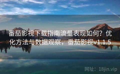 番茄影视下载指南流量表现如何？优化方法与数据观察，番茄影视v1.1.5