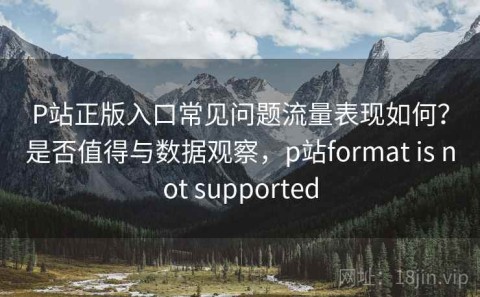 P站正版入口常见问题流量表现如何？是否值得与数据观察，p站format is not supported