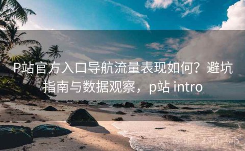 P站官方入口导航流量表现如何？避坑指南与数据观察，p站 intro