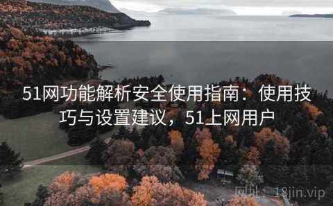 51网功能解析安全使用指南：使用技巧与设置建议，51上网用户
