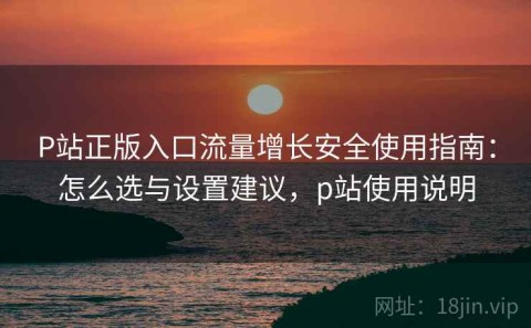 P站正版入口流量增长安全使用指南：怎么选与设置建议，p站使用说明
