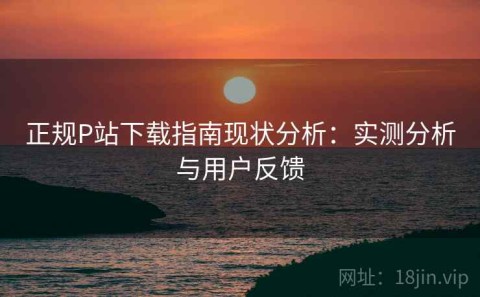 正规P站下载指南现状分析：实测分析与用户反馈