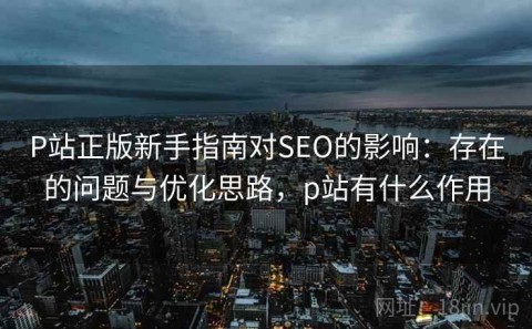 P站正版新手指南对SEO的影响：存在的问题与优化思路，p站有什么作用