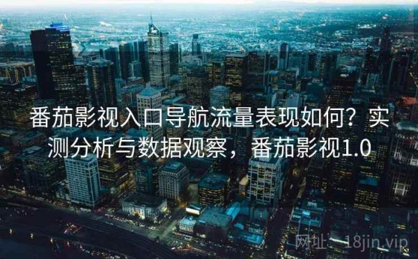 番茄影视入口导航流量表现如何？实测分析与数据观察，番茄影视1.0