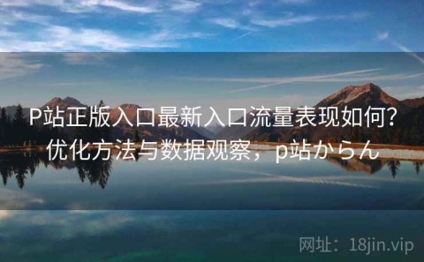 P站正版入口最新入口流量表现如何？优化方法与数据观察，p站からん