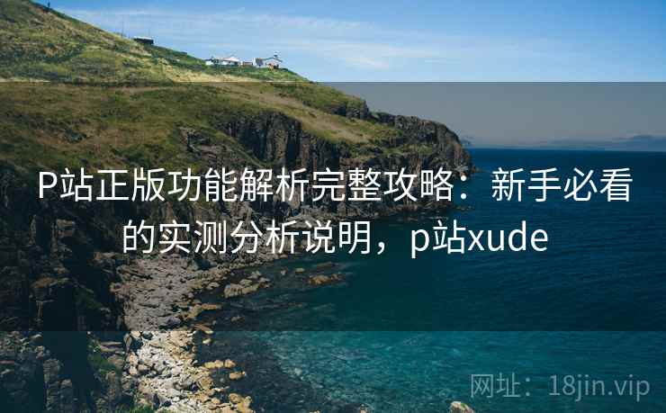 P站正版功能解析完整攻略：新手必看的实测分析说明，p站xude