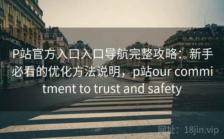P站官方入口入口导航完整攻略：新手必看的优化方法说明，p站our commitment to trust and safety
