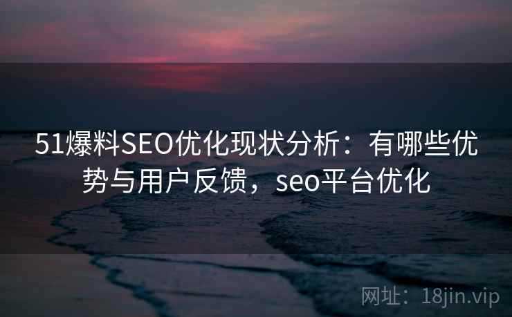 51爆料SEO优化现状分析：有哪些优势与用户反馈，seo平台优化