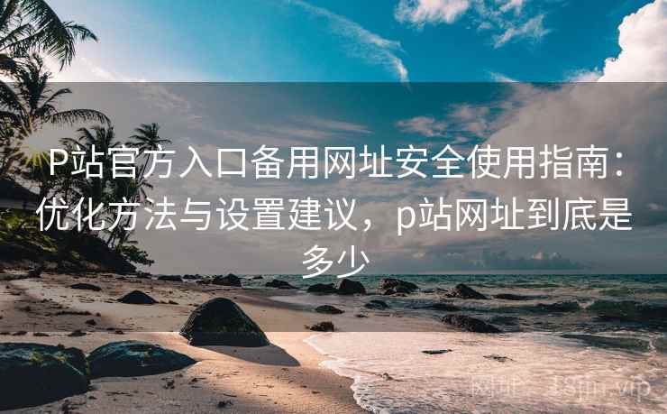 P站官方入口备用网址安全使用指南：优化方法与设置建议，p站网址到底是多少