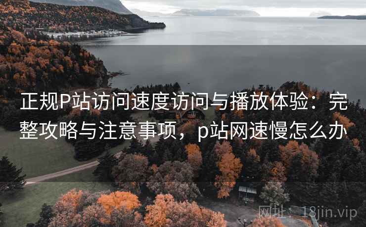 正规P站访问速度访问与播放体验：完整攻略与注意事项，p站网速慢怎么办
