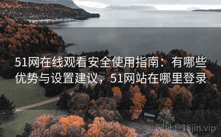 51网在线观看安全使用指南：有哪些优势与设置建议，51网站在哪里登录